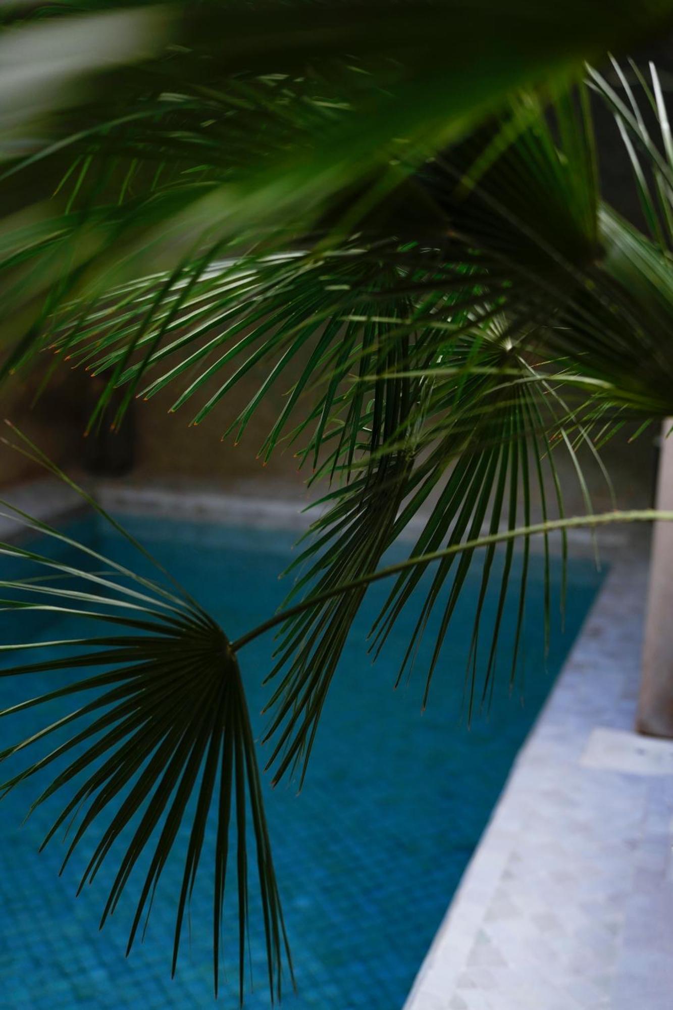 Riad Al Massarah Marrakesh Exterior foto